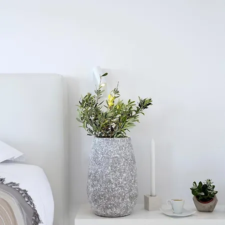 Blue Vice Megalochori 아파트호텔