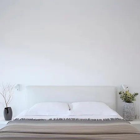 Blue Vice Megalochori 아파트호텔